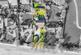 Additional image 36 of Mapperley Plains, Nottingham NG3