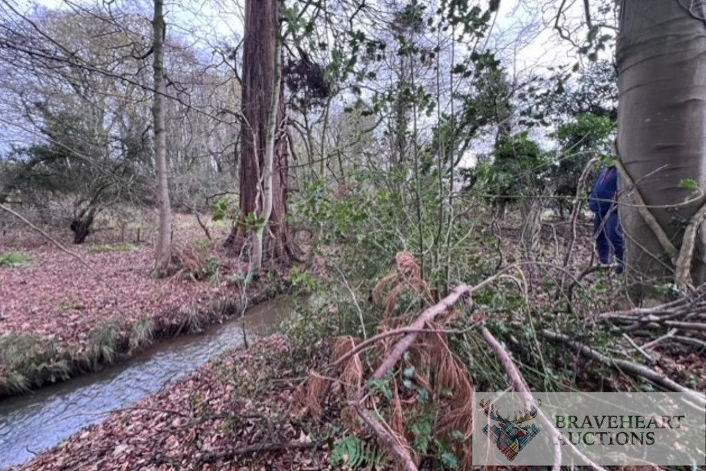 Additional image 6 of Land for saleBurns Country 1, Sundrum Castle, Ayr KA6