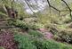 Additional image 31 of Orleton, Ludlow