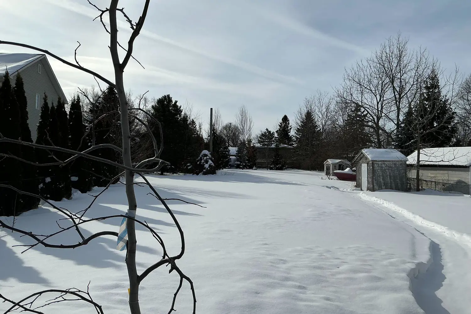 Additional image 2 of 2945 Princess Street