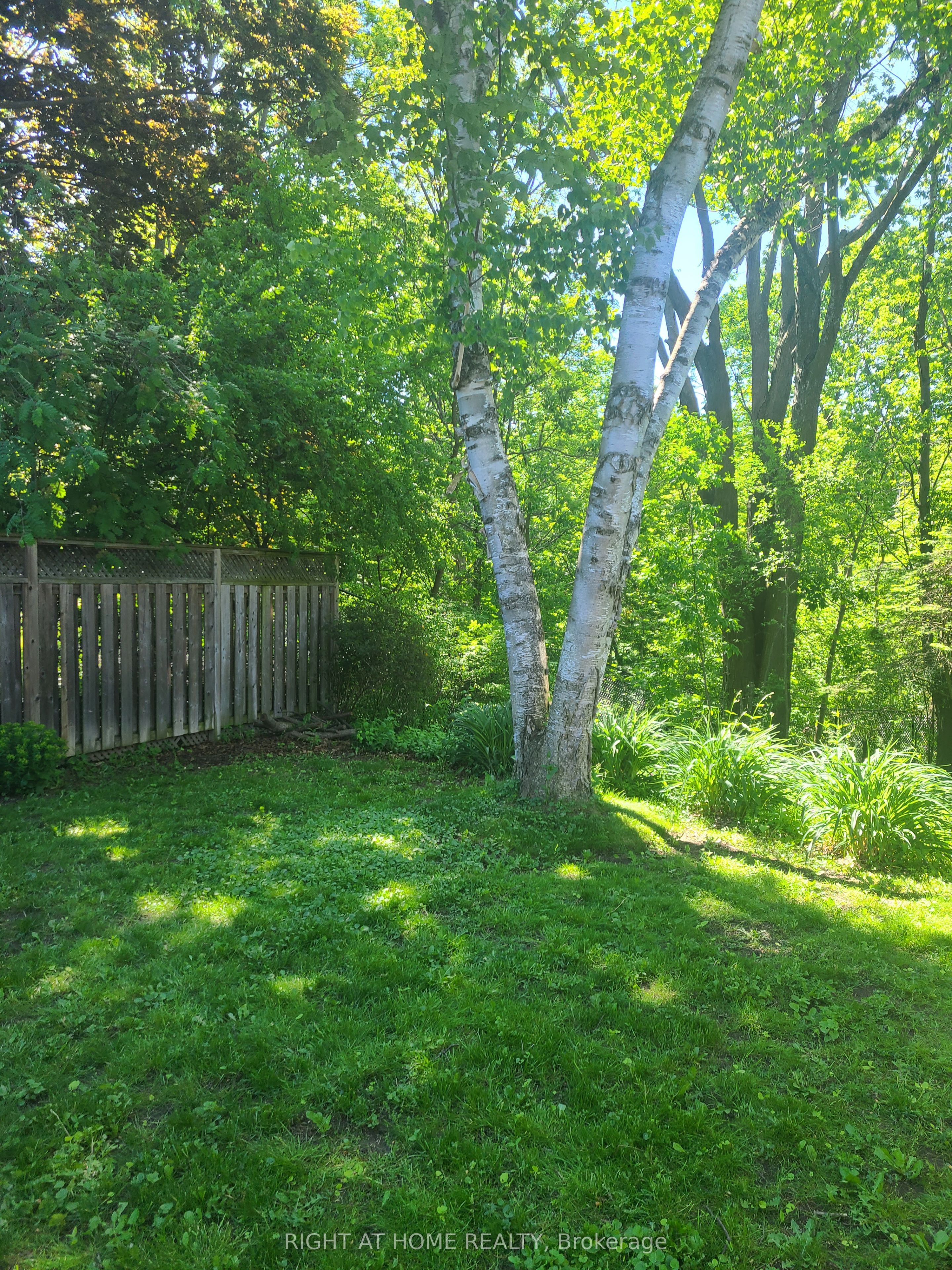 Additional image 3 of Basement-29 Ravenview Drive, Toronto, ON, M1E 3L9
