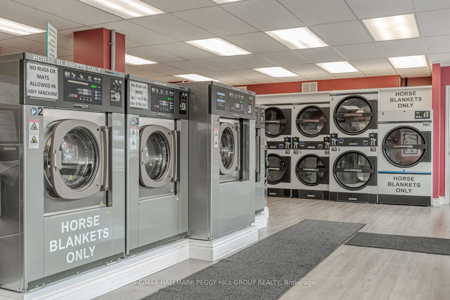 Additional image 3 of 30 Queen Street