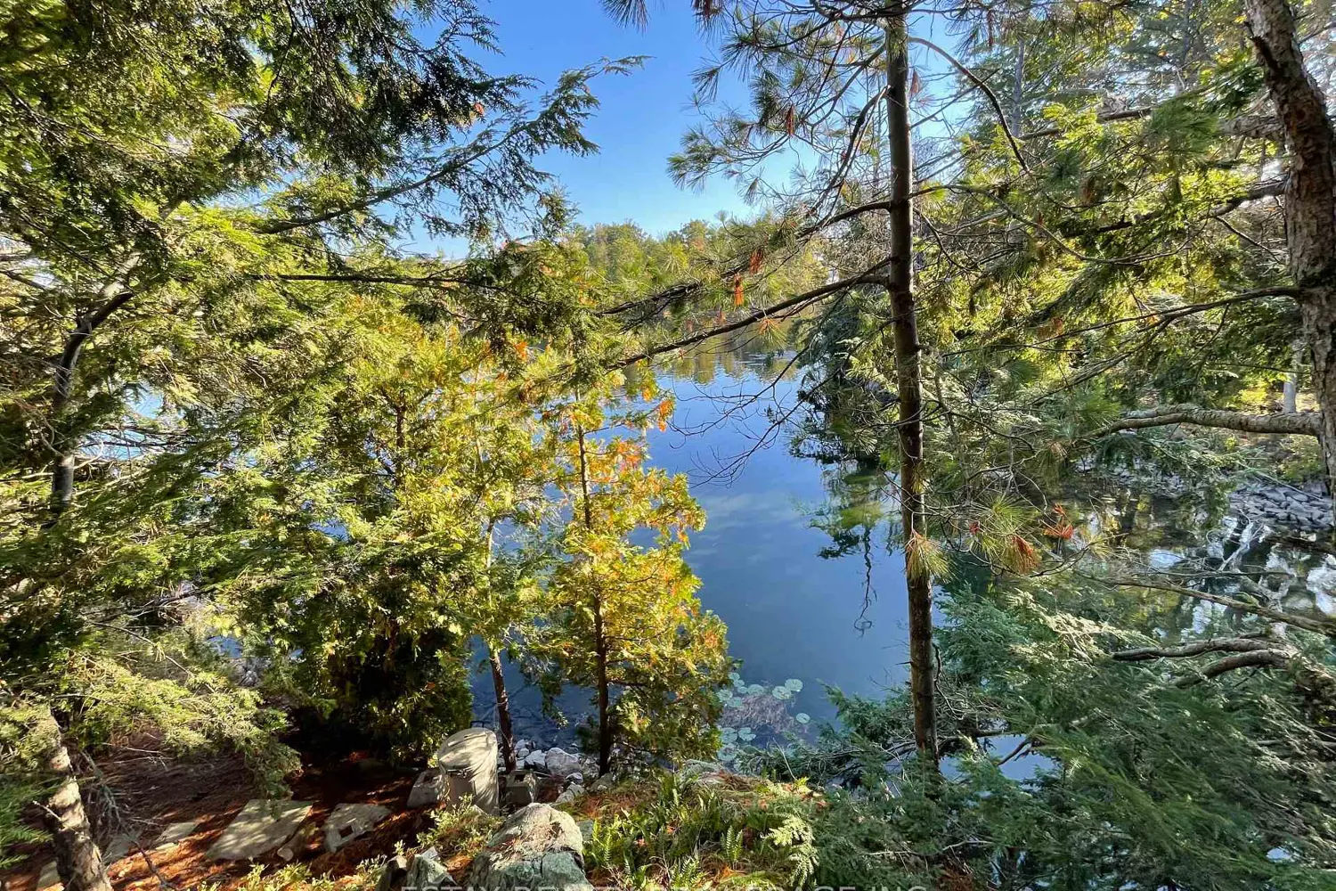 Additional image 6 of 1 Island 60