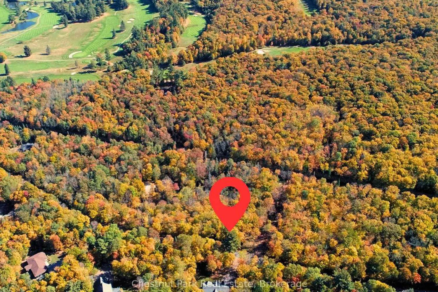 384 Golf Course Road photo 4