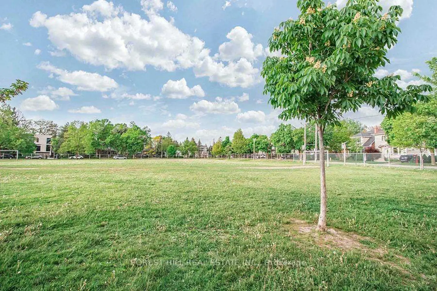 Additional image 20 of 236 Cameron Avenue