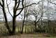 Additional image 16 of Callow, Hereford HR2