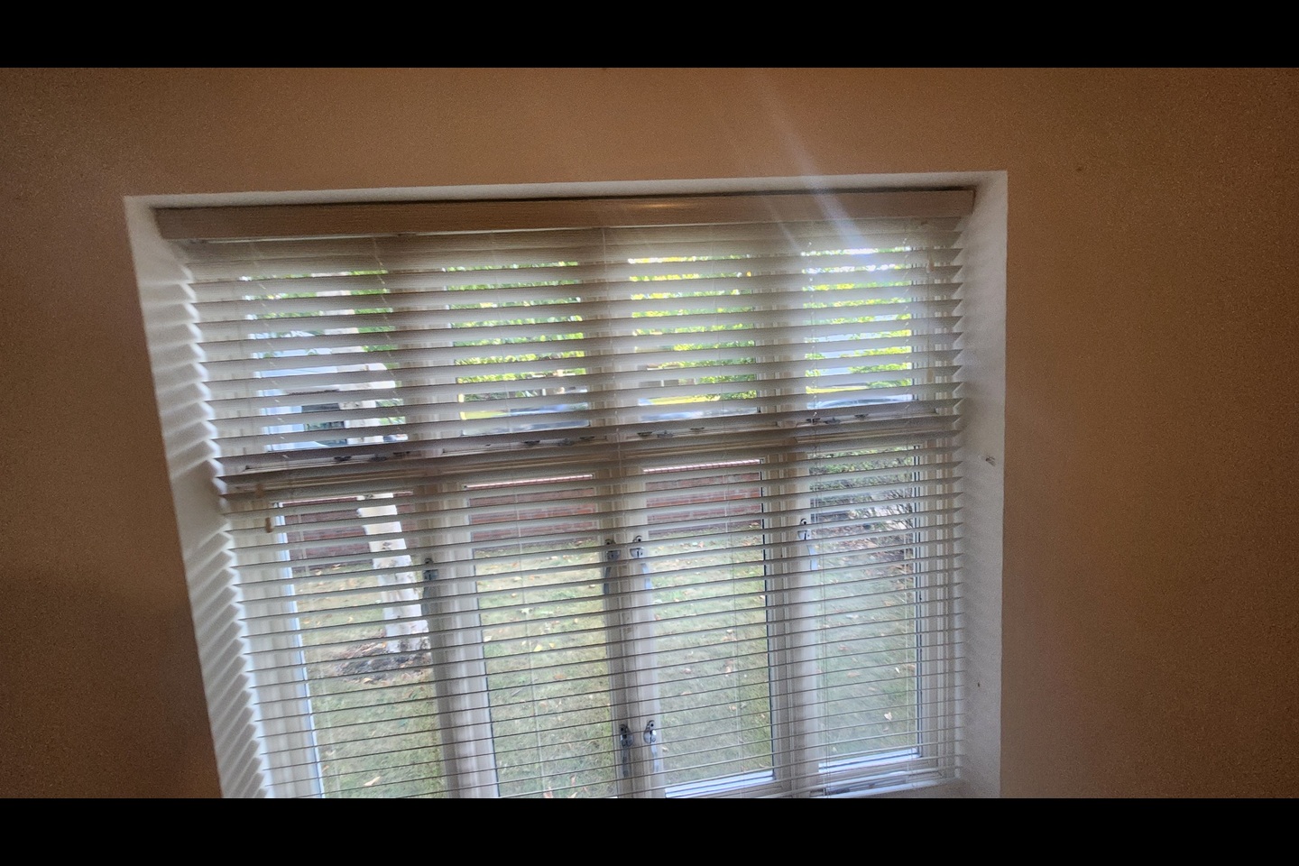 Additional image 10 of 1 Bed Flat, Sandon Road, B17, B17 8DP