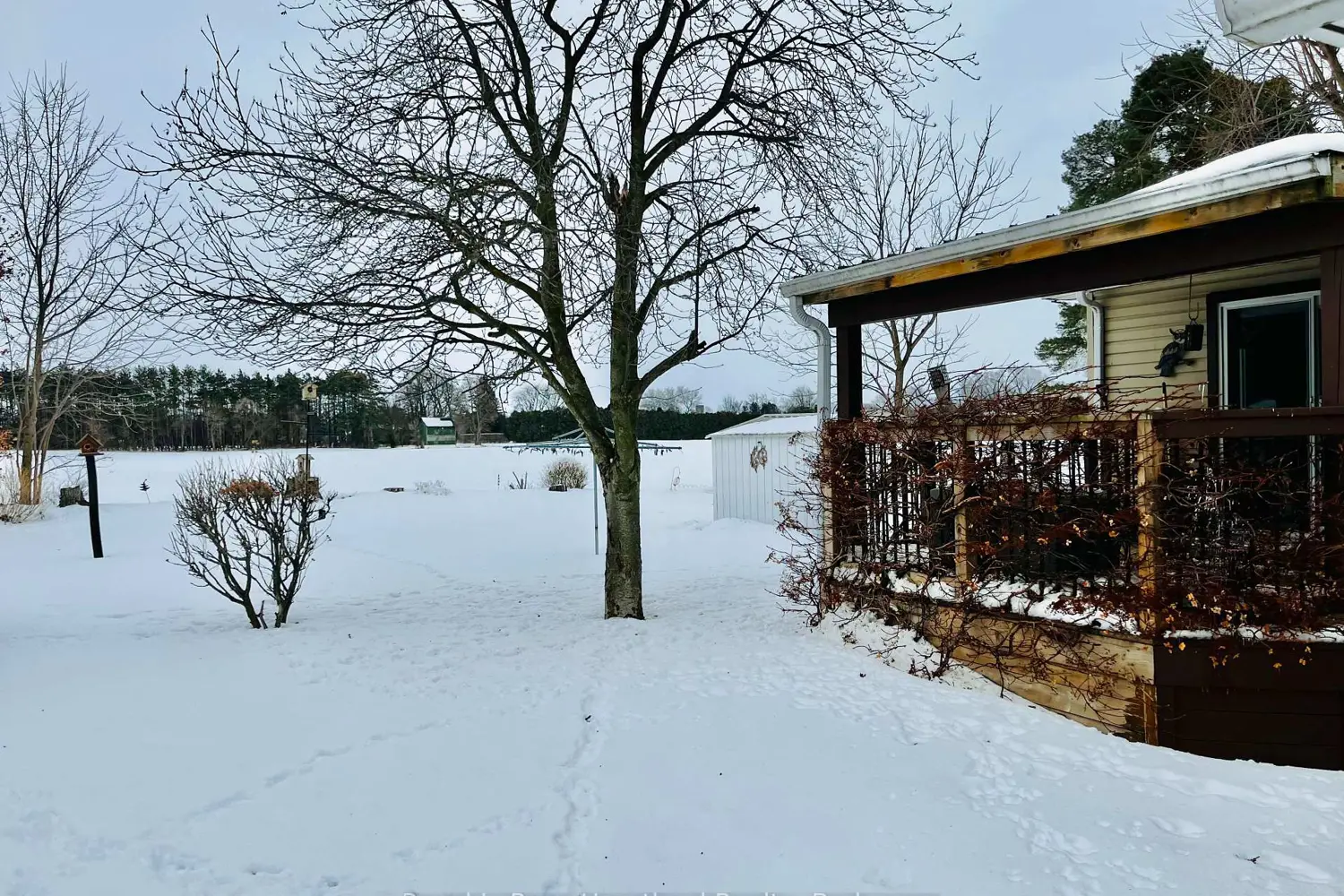 Additional image 17 of 12 Velma Street