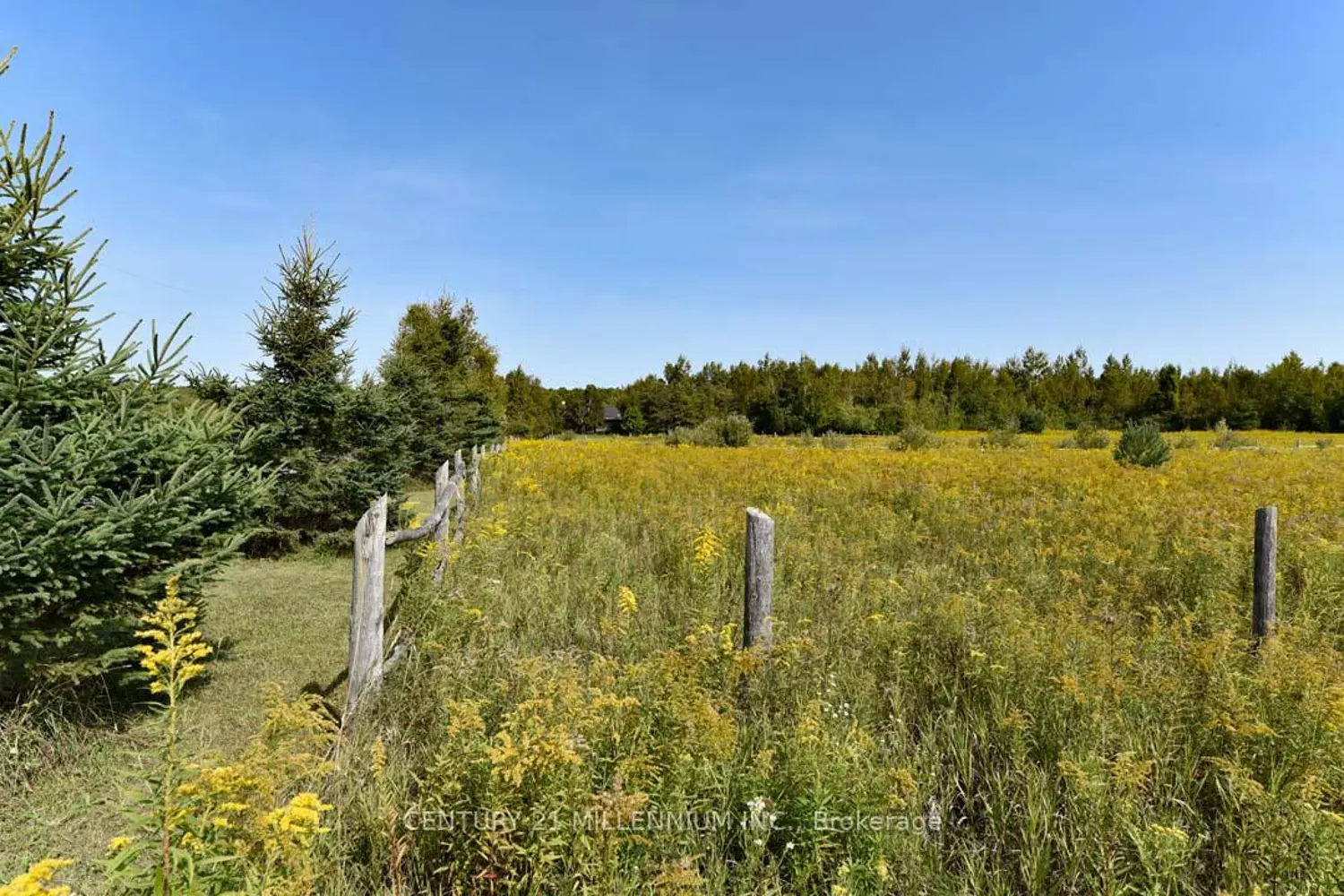 Additional image 3 of 387091 20Th Side Road