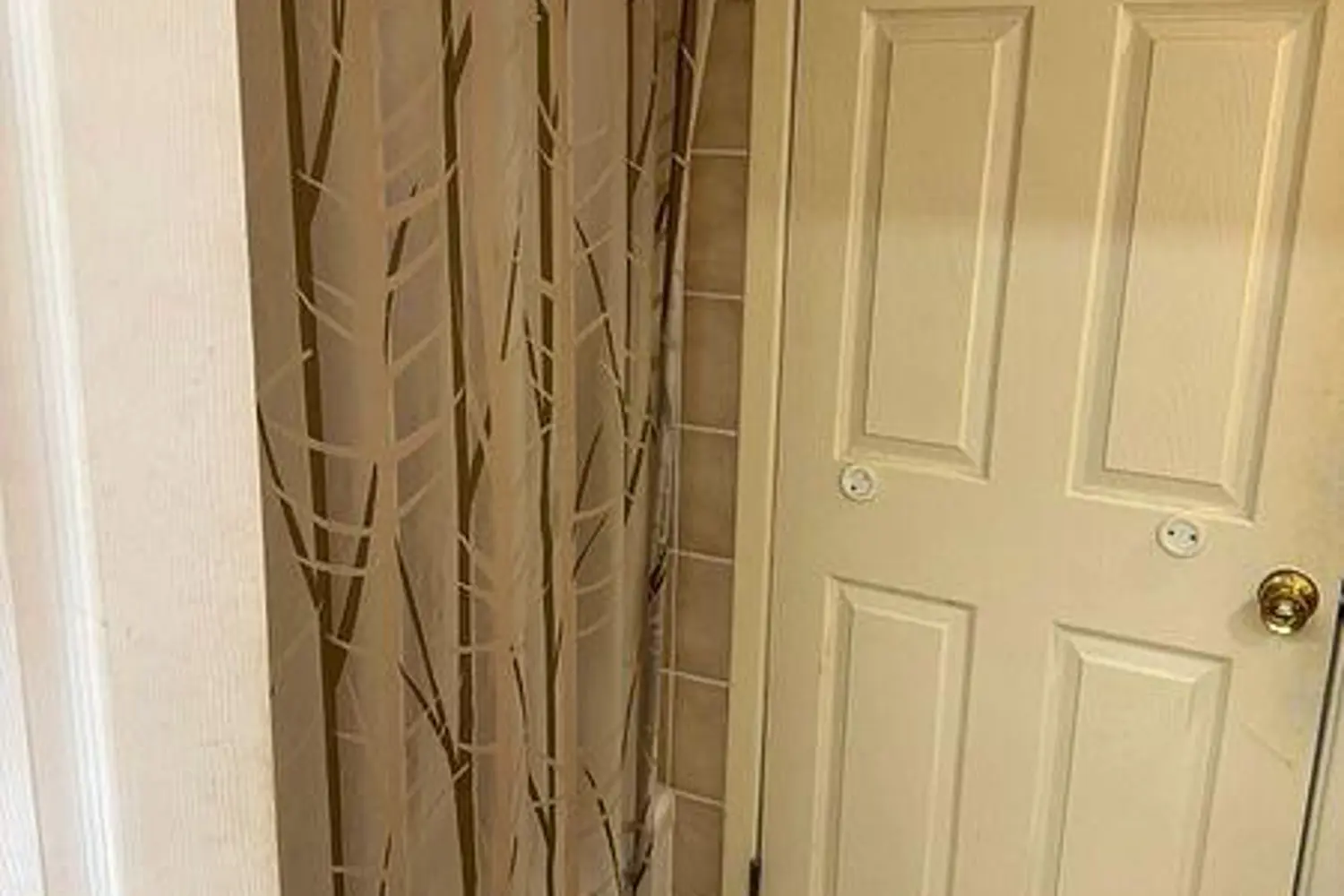 Additional image 8 of 500 Canterbury Street