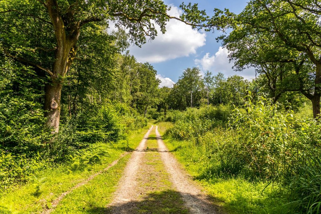 Additional image 4 of Land for saleEwhurst, Surrey GU6