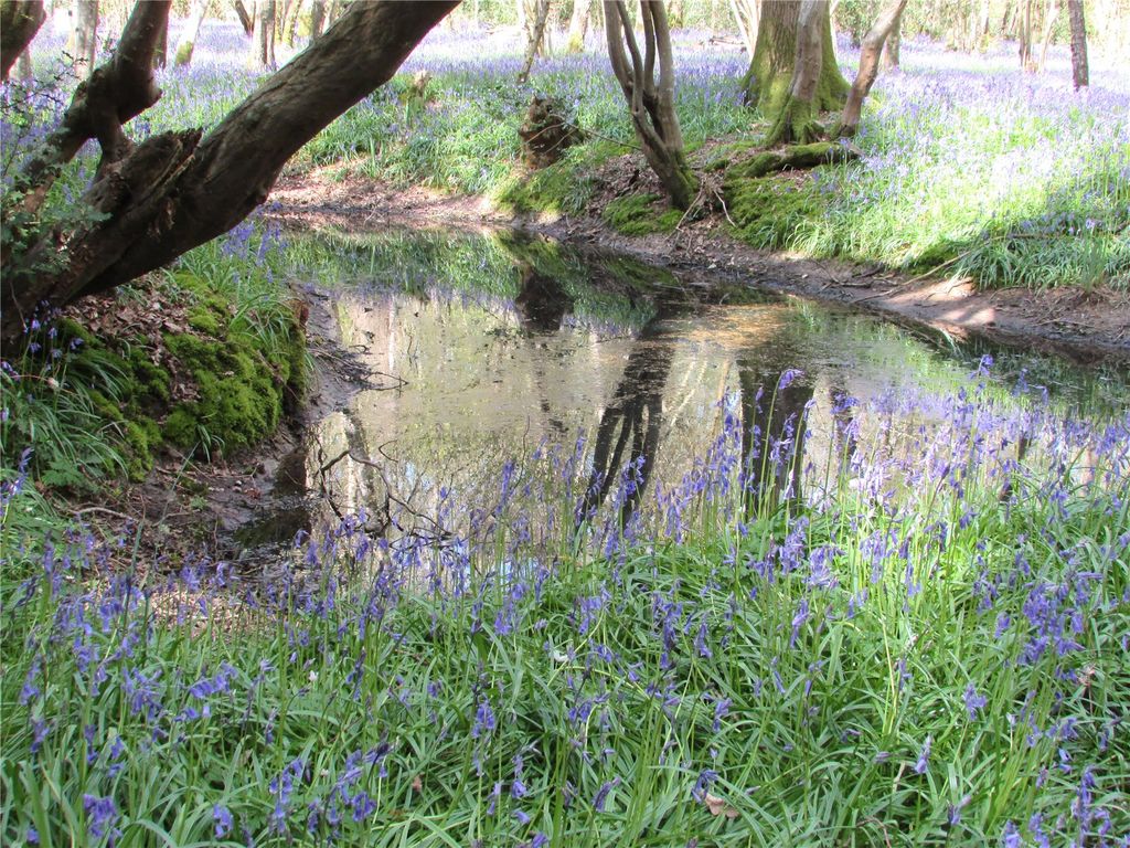 Additional image 14 of Land for saleGolf Club Lane, Piltdown, Uckfield, East Sussex TN22