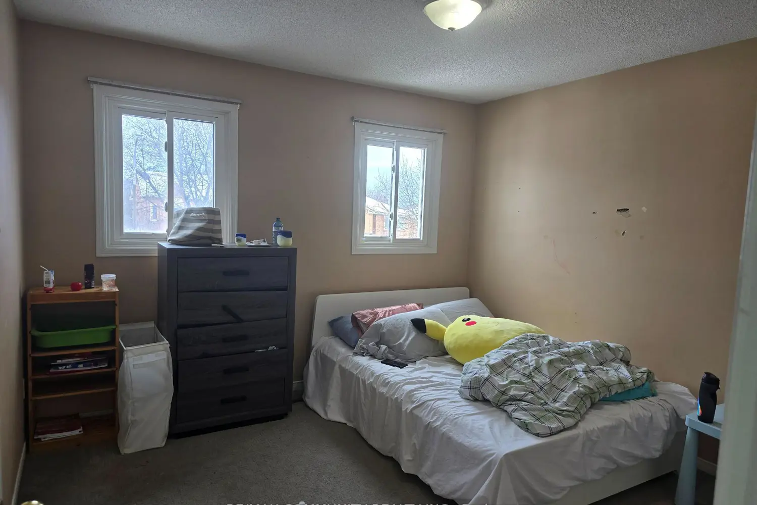 Additional image 15 of 8 Carmichael Drive