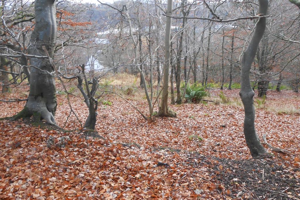 Additional image 4 of Land for saleScots Wa Hae, Plot 5, Poets Rest, Catrine KA56Sw KA5