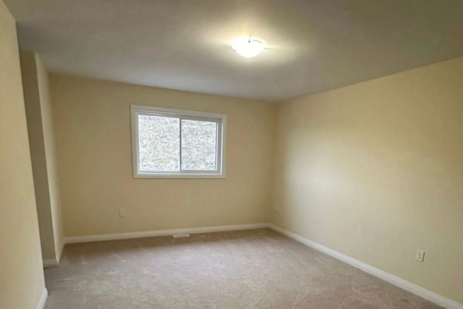 Additional image 14 of 5 Revol Road