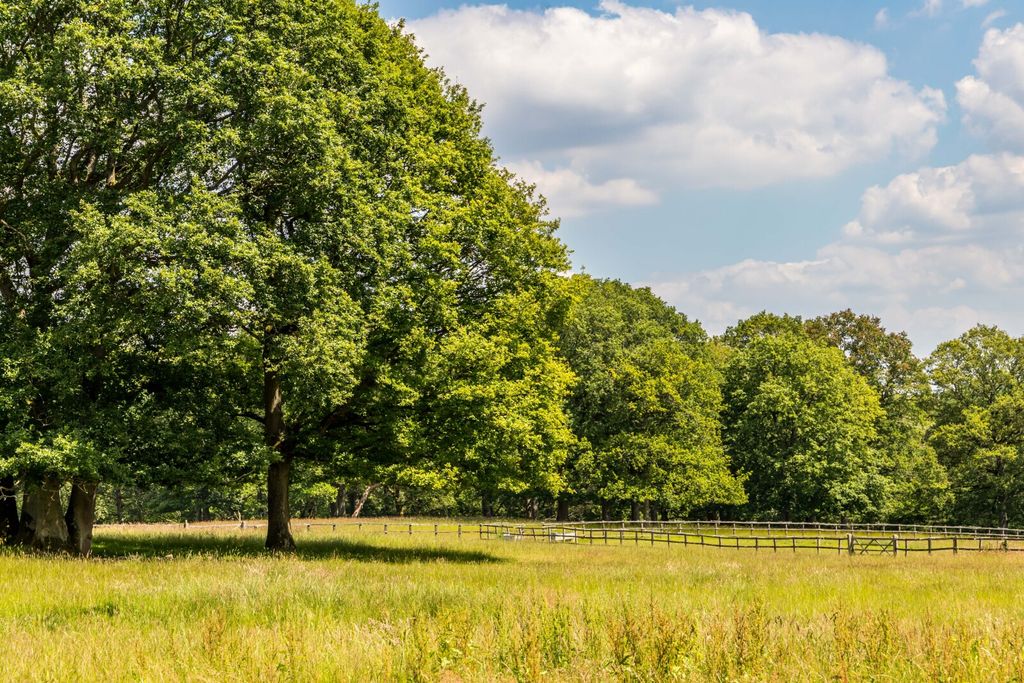 Additional image 26 of Land for saleEwhurst, Surrey GU6