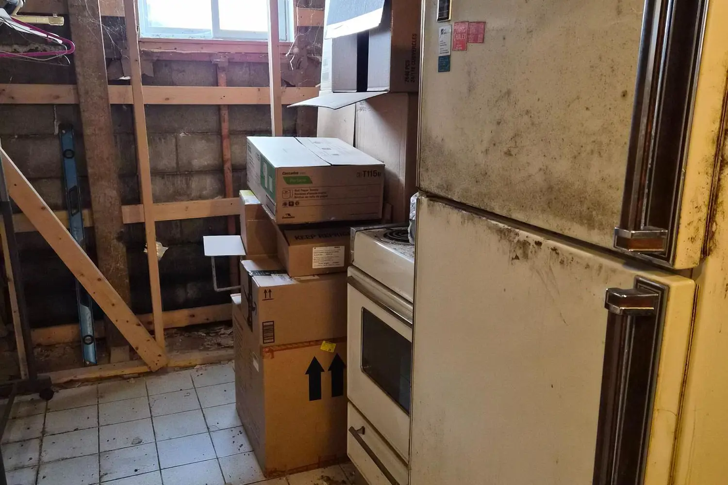 Additional image 10 of 260 Joffre-Belanger Way