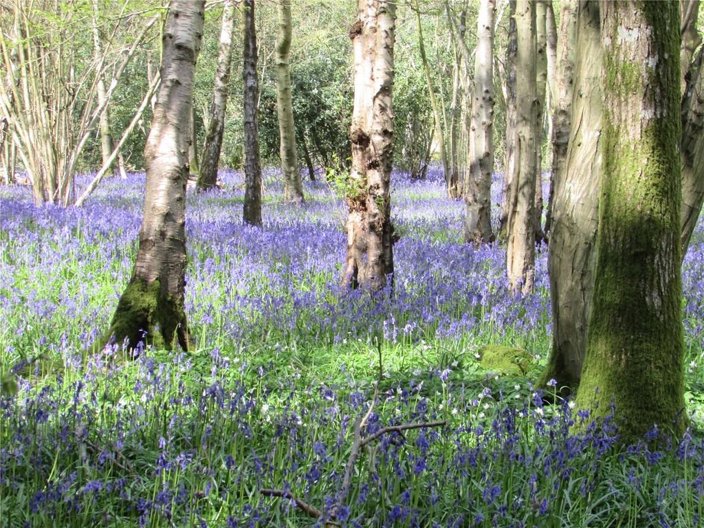 Additional image 15 of Land for saleGolf Club Lane, Piltdown, Uckfield, East Sussex TN22