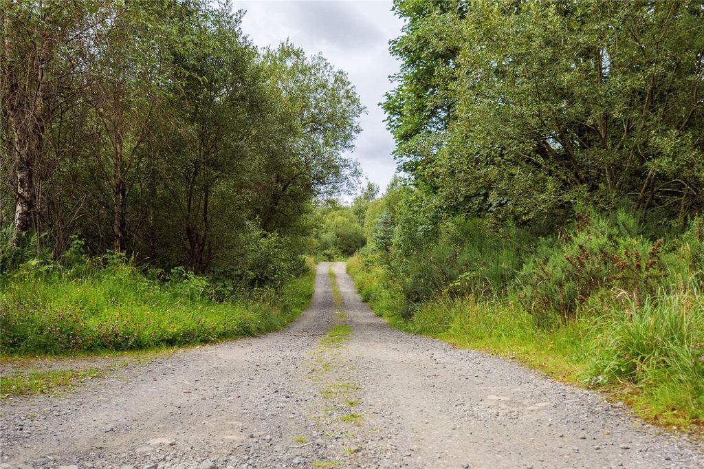 Additional image 11 of Land for saleBorland Wood, Gartmore, Stirling, Stirlingshire FK8