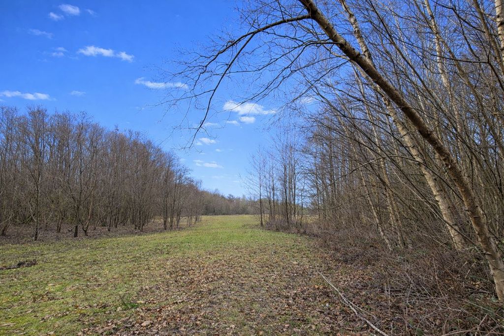 Additional image 2 of Land for saleLand Opposite 250 Holtye Road, East Grinstead, West Sussex RH19