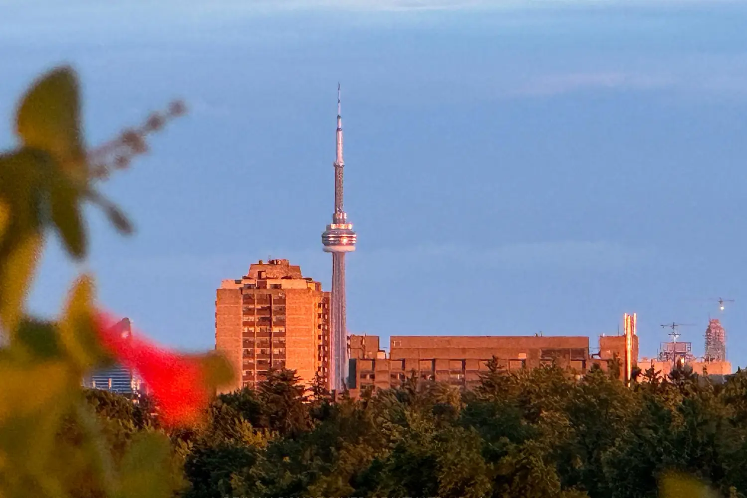 Additional image 19 of 701 Sheppard Avenue 702