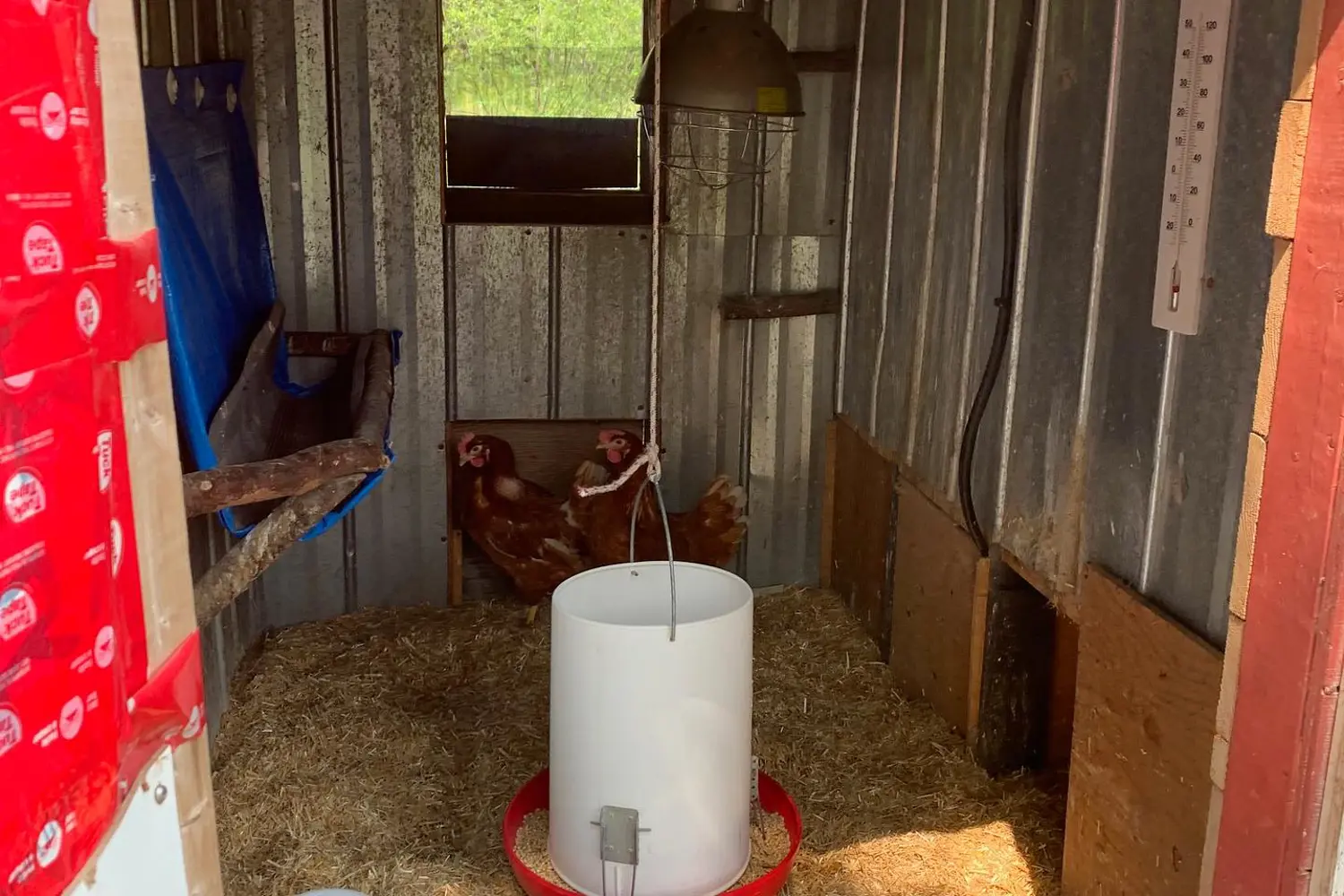 Additional image 18 of 57 Rattray Road