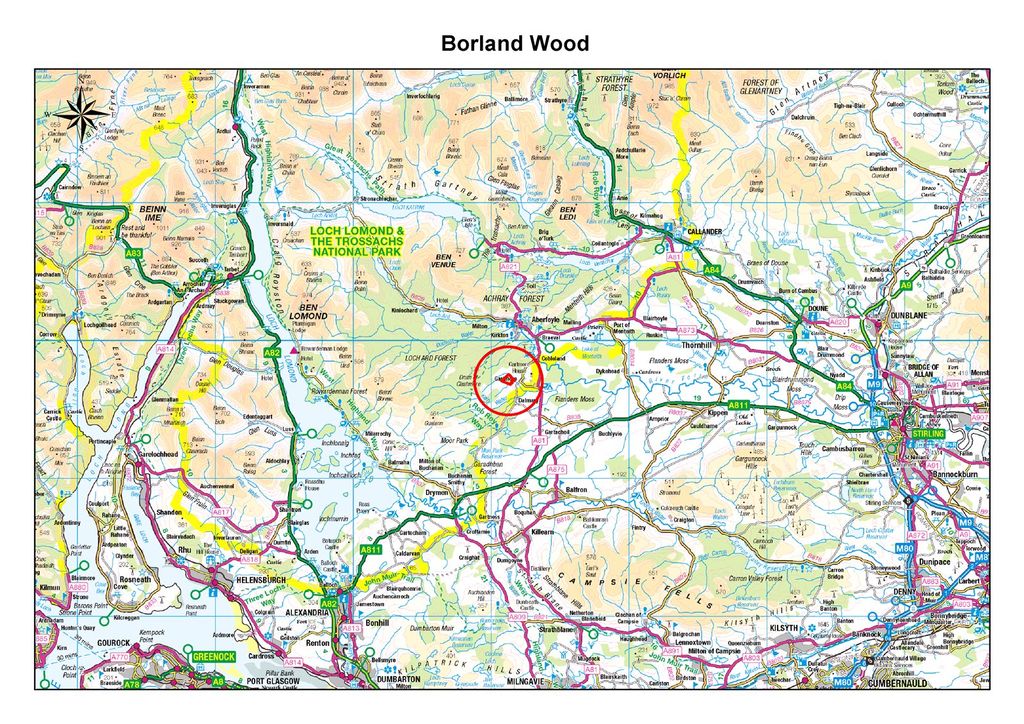 Additional image 14 of Land for saleBorland Wood, Gartmore, Stirling, Stirlingshire FK8