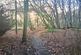 Additional image 19 of Herringswell, Bury St. Edmunds, Suffolk, IP28