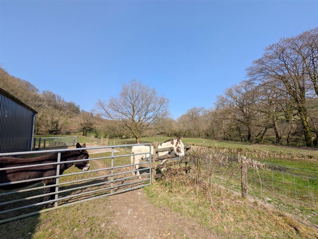 Additional image 44 of 6 bed country house for saleAbergorlech Road, Carmarthen SA32
