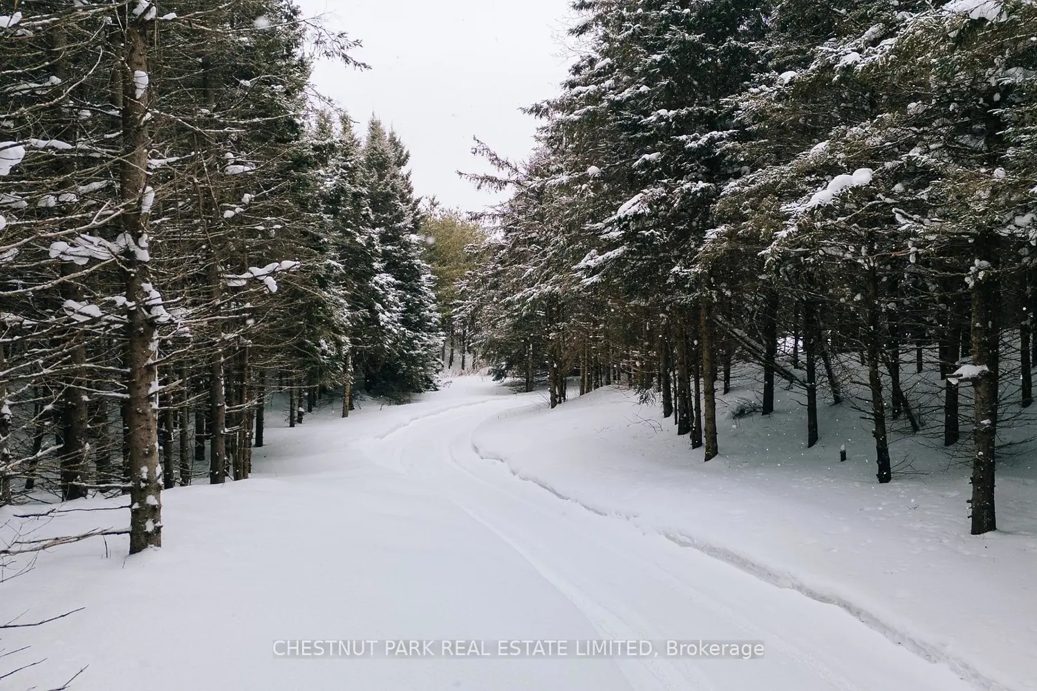 Additional image 14 of 675528 Hurontario Street