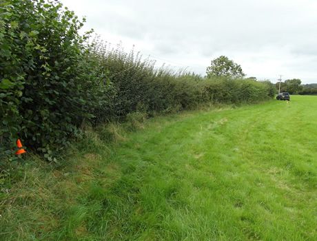 Additional image 8 of Land for saleRushmead Lane Upper South Wraxall, Bradford-On-Avon BA15
