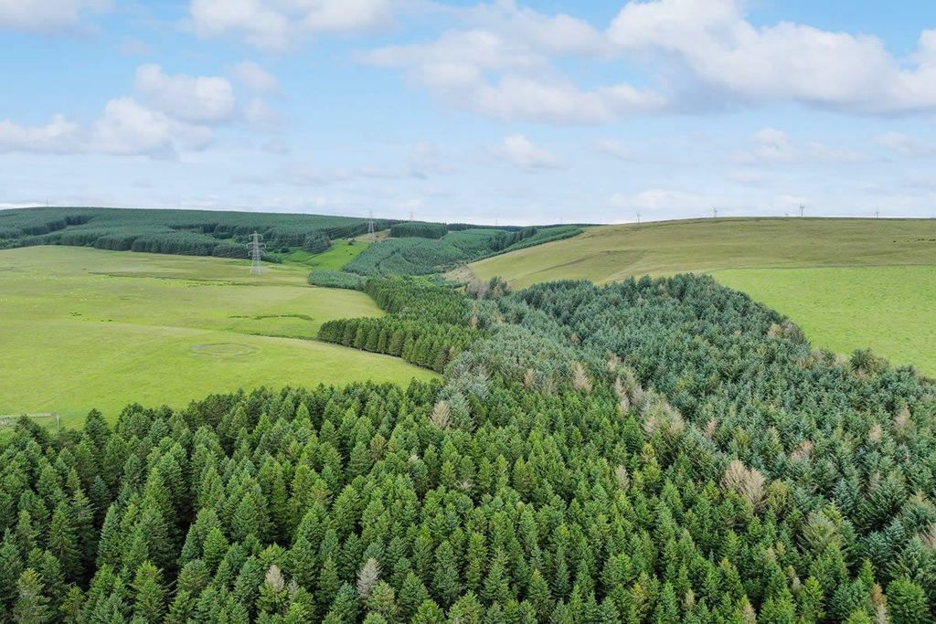 Additional image 6 of Land for salePlot 2, Hartside Wood, Lauder, Scottish Borders TD26Pu TD2