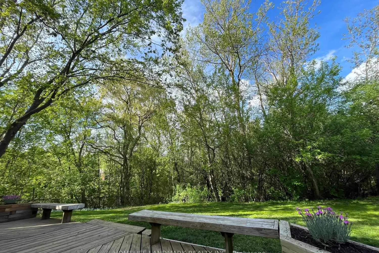 Additional image 19 of 16 Willis Drive