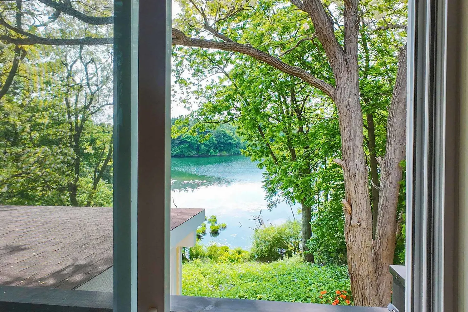 Additional image 12 of 6 And 8 Macleod Estate Court