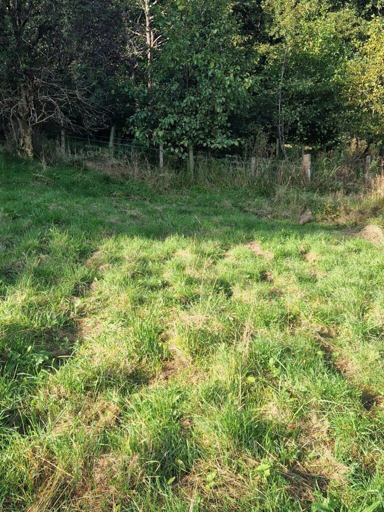 Additional image 5 of Building Plot At Hillside House, Rothes, Aberlour, Moray, AB38 7AQ