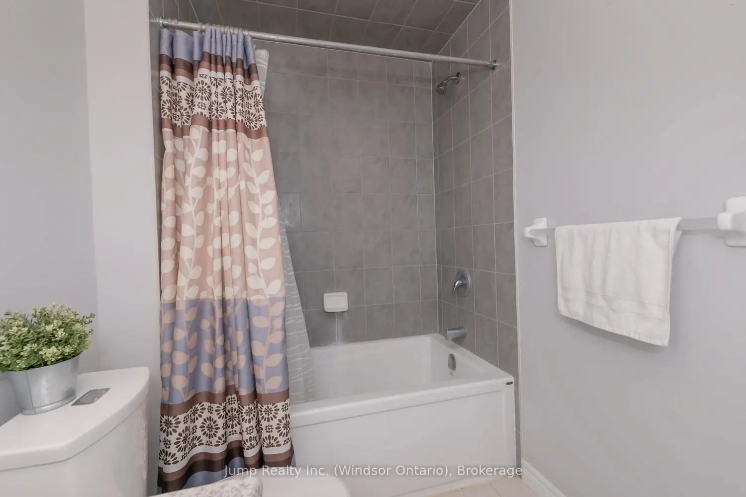 229 Macalister Boulevard photo 4