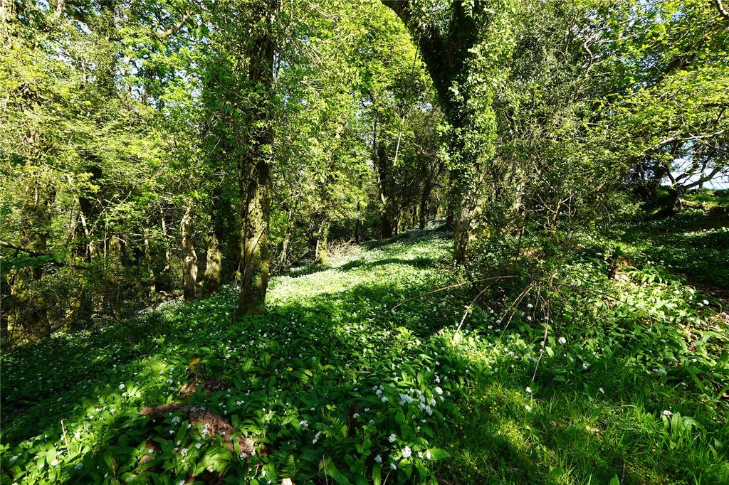 Additional image 4 of Land for saleSt. Keyne, Liskeard, Cornwall PL14