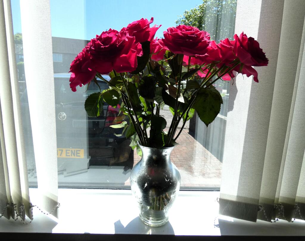 Additional image 11 of Laws Drive, Aberdeen, AB12