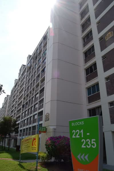 Additional image 14 of 223 Simei Street 4