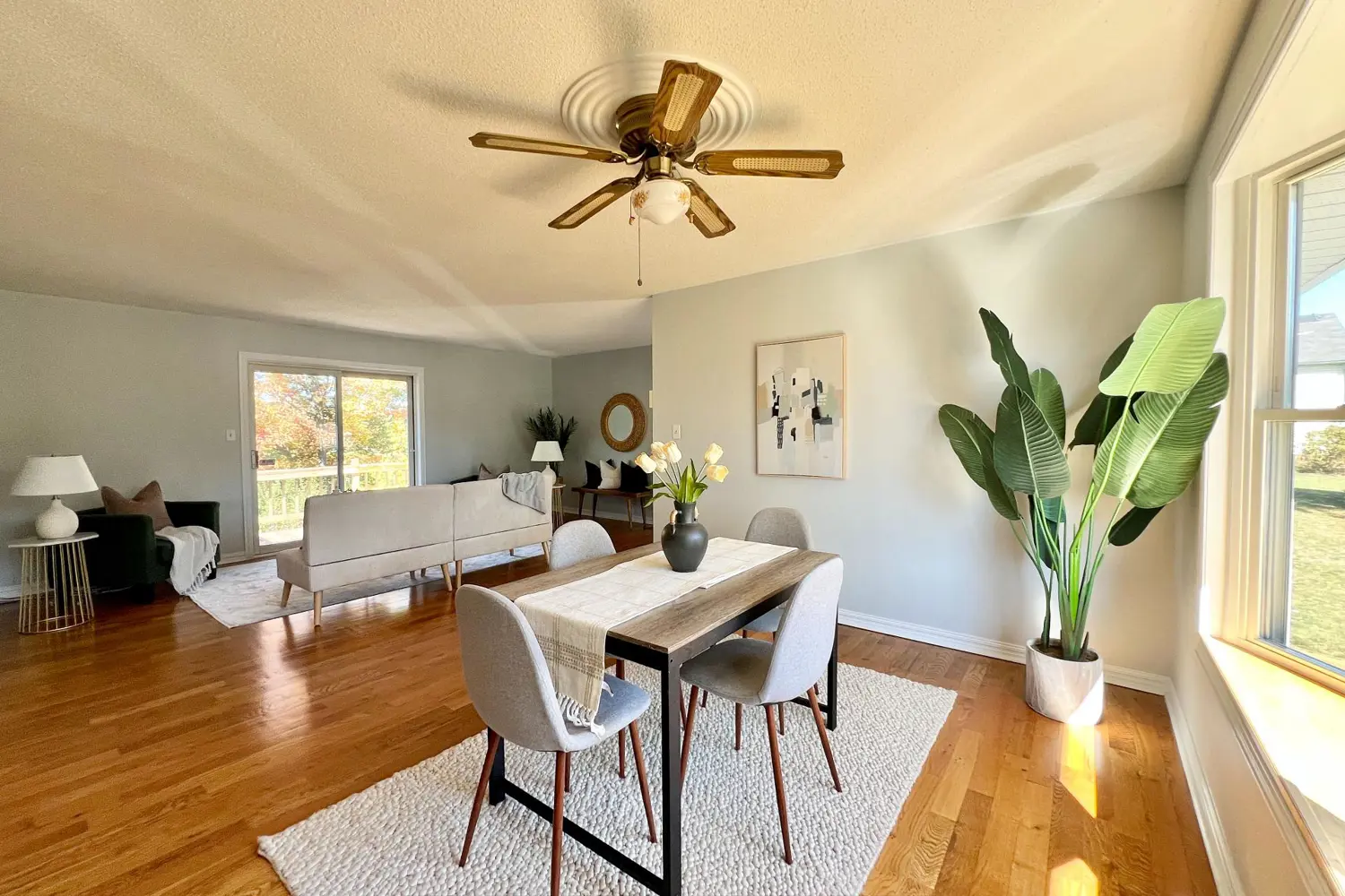 Additional image 4 of 444 County Road 19