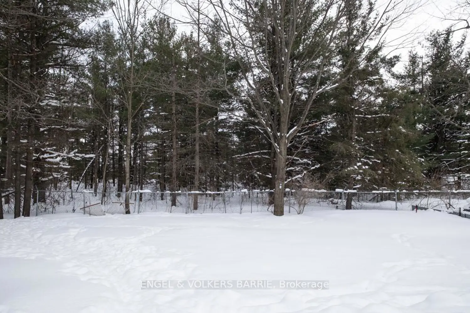 Additional image 20 of 1065 Snow Valley Road