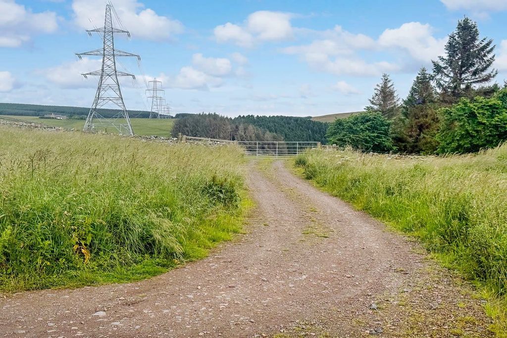 Additional image 9 of Land for salePlot 2, Hartside Wood, Lauder, Scottish Borders TD26Pu TD2