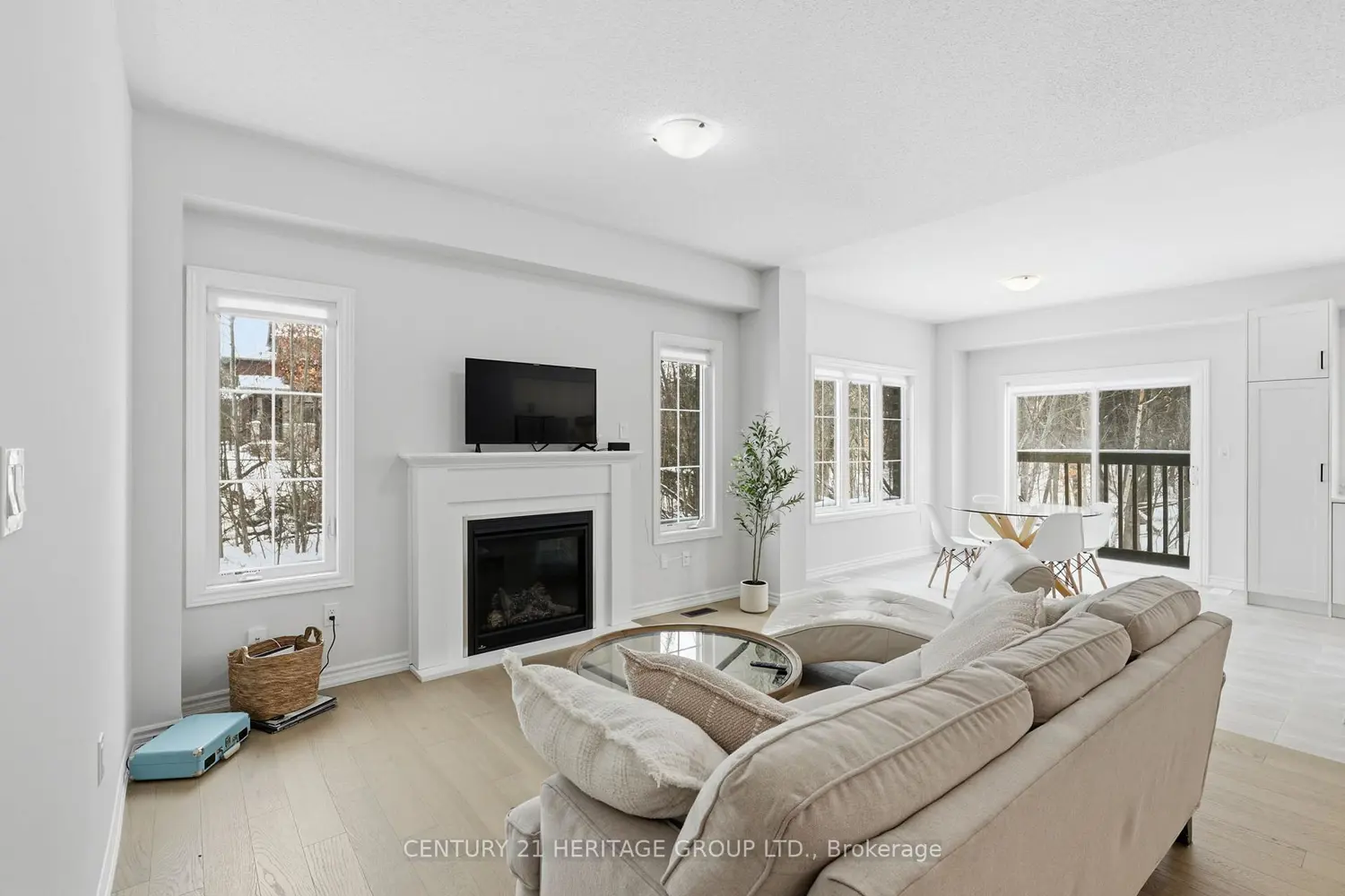 8 Scotia Road photo 2