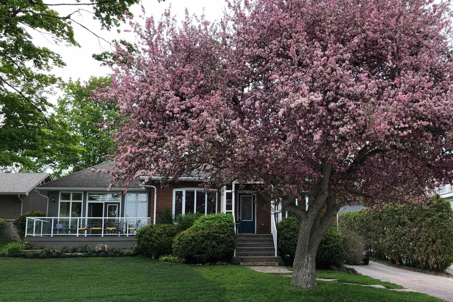 162 Kempenfelt Drive photo 2