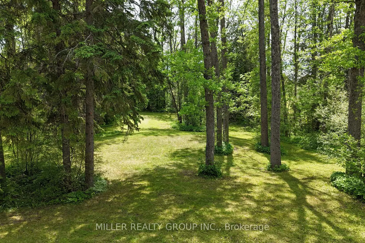 Additional image 7 of 692 Dawson Point Road