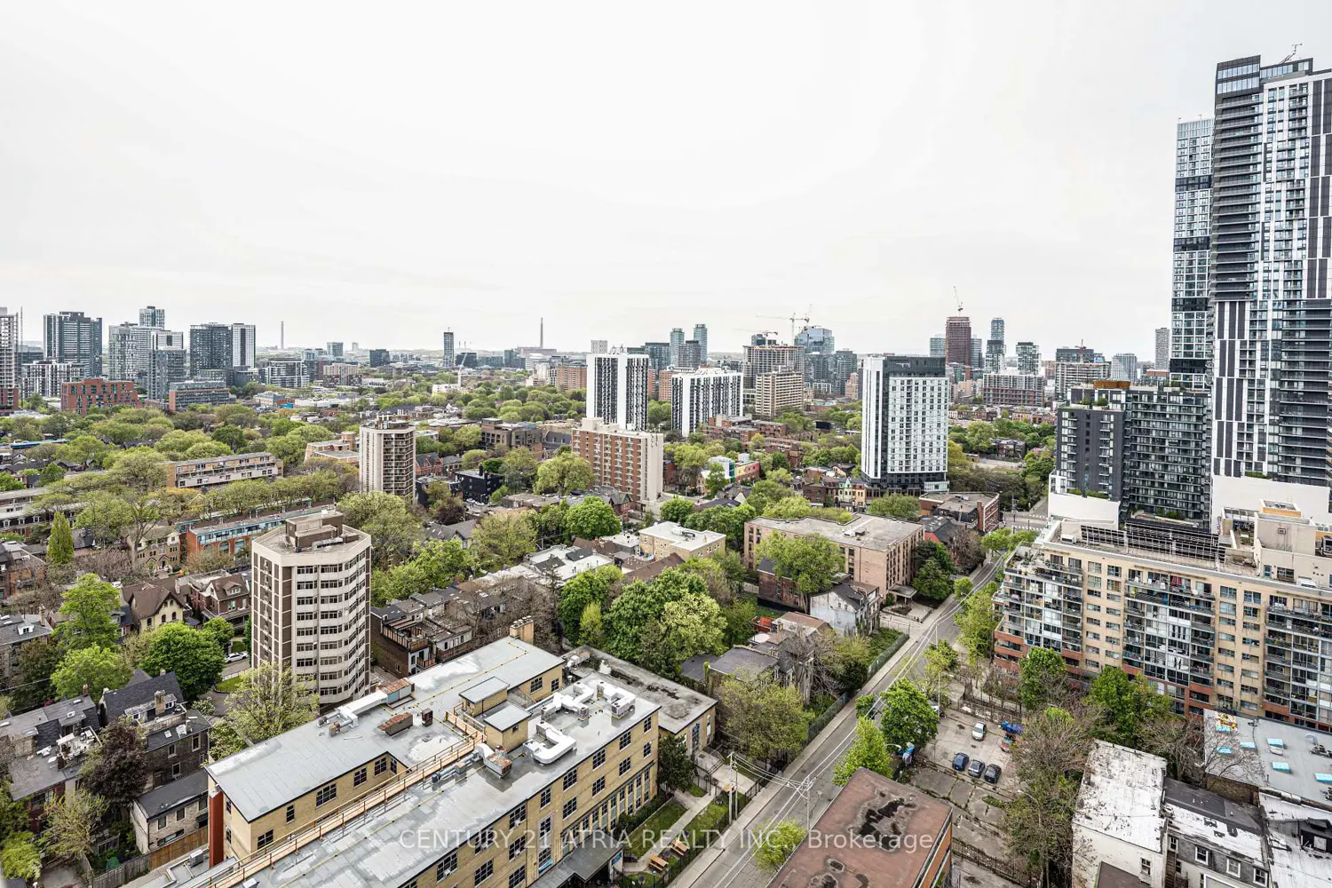 Additional image 19 of 319 Jarvis Street 2515