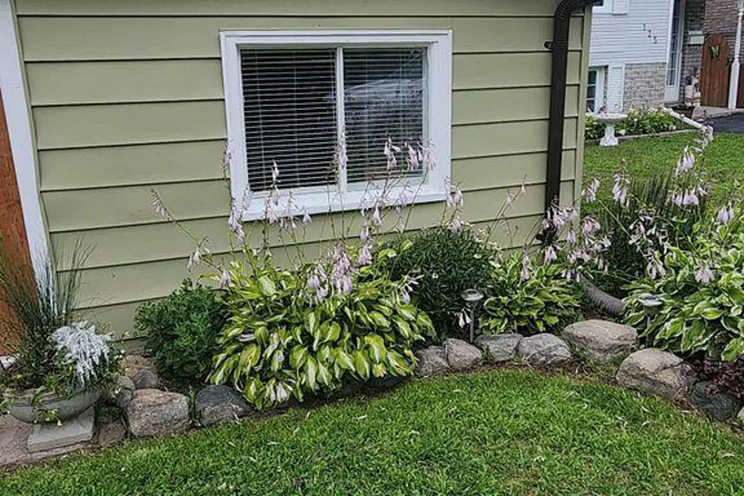 Additional image 5 of 127 Leopold Street