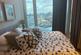 Additional image 12 of Southbank Tower, 55 Upper Ground, London, SE1