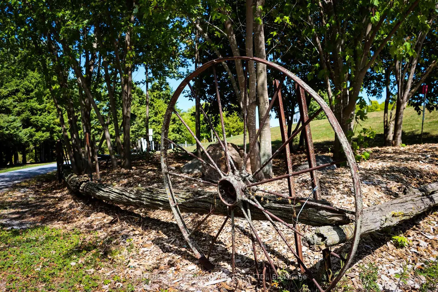 Additional image 17 of 7 Richer Street