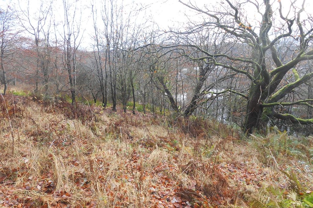 Additional image 2 of Land for saleScots Wa Hae, Plot 7, Poets Rest, Catrine KA56Sw KA5